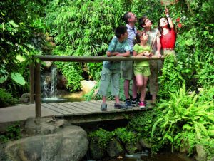 Parques tematicos - Butterfly Park en castello de ampuries - casa rural de CAN MICOS