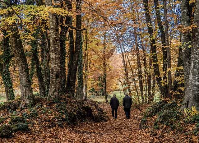 10 planes de otoño en nuestra casa rural en Girona
