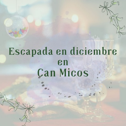 Casa rural en Girona en oferta Diciembre para grupos grandes - casa rural de CAN MICOS