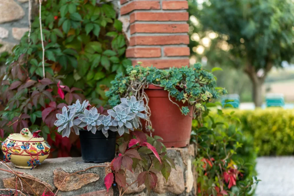 Zona de relax al jardí rústic de la masia Can Micos (Girona) amb pou antic, taula i accés al menjador, ideal per a grups grans a prop de Barcelona.