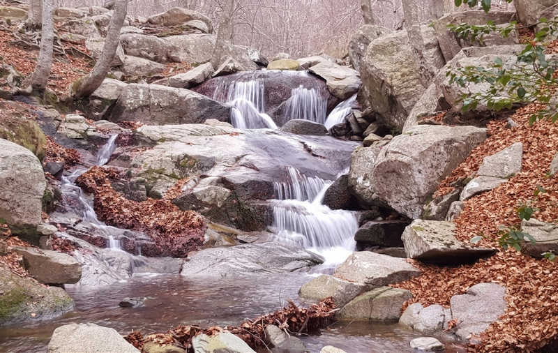 Qué ver en La Selva, Girona guía completa con pueblos, rutas y planes rurales para disfrutar - turismo y casa rural en girona