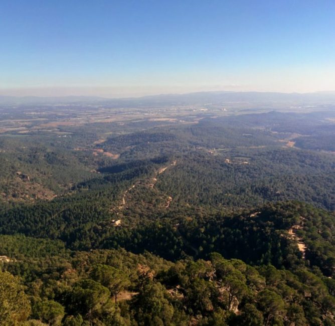 naturaleza can micos